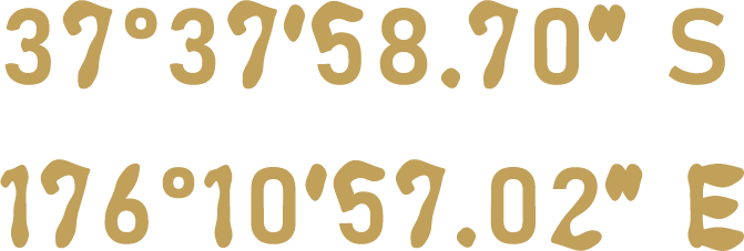 37° 39' 16" S  ✦  176° 11' 54" E